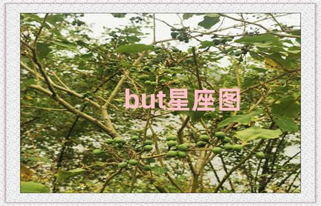 but星座图