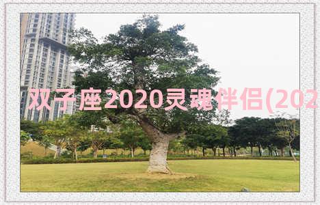 双子座2020灵魂伴侣(2020年双子座)