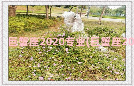 巨蟹座2020专业(巨蟹座2020运势详解)
