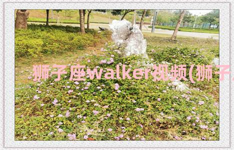 狮子座walker视频(狮子座walker)