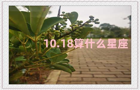 10.18算什么星座