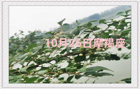 10月26日摩羯座