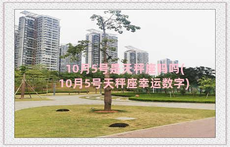 10月5号是天秤座吗吗(10月5号天秤座幸运数字)