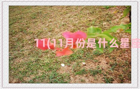 11(11月份是什么星座)