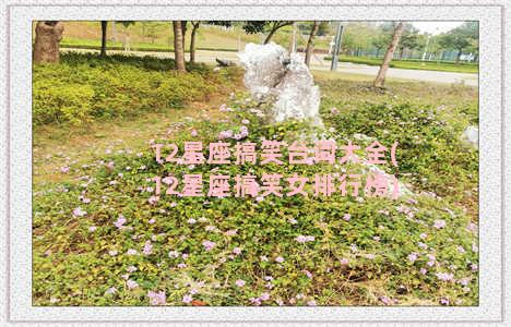 12星座搞笑台词大全(12星座搞笑女排行榜)