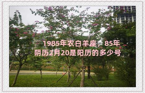 1985年农白羊座，85年阴历2月20是阳历的多少号