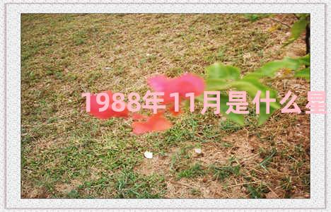 1988年11月是什么星座