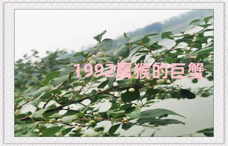 1992属猴的巨蟹