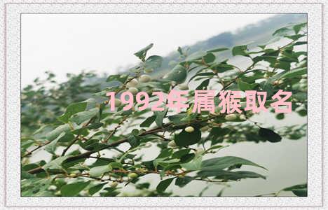 1992年属猴取名