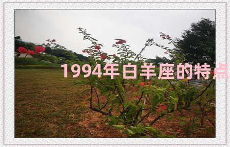 1994年白羊座的特点