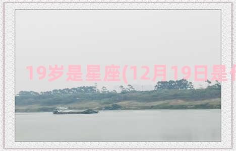 19岁是星座(12月19日是什么星座)