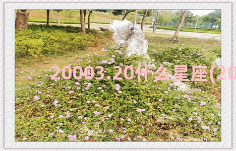 20003.20什么星座(20003200)