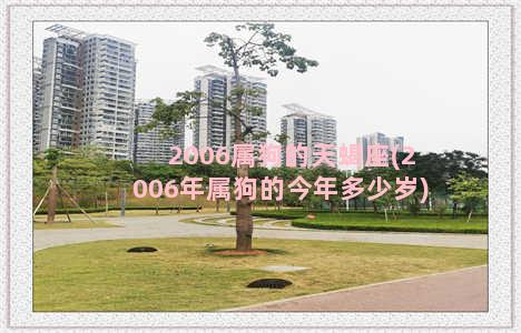 2006属狗的天蝎座(2006年属狗的今年多少岁)