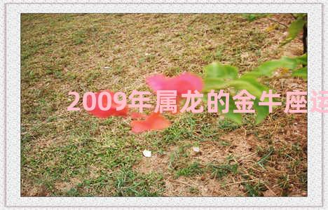 2009年属龙的金牛座运程