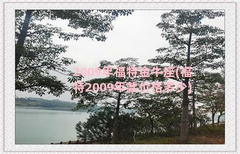 2009年福特金牛座(福特2009年款价格多少)