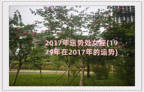 2017年运势处女座(1979年在2017年的运势)