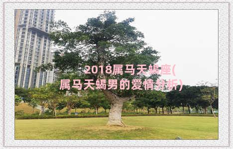 2018属马天蝎座(属马天蝎男的爱情分析)