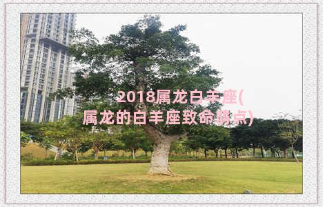 2018属龙白羊座(属龙的白羊座致命弱点)