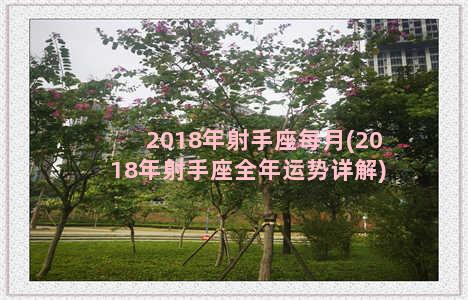 2018年射手座每月(2018年射手座全年运势详解)