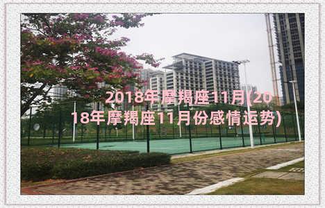 2018年摩羯座11月(2018年摩羯座11月份感情运势)