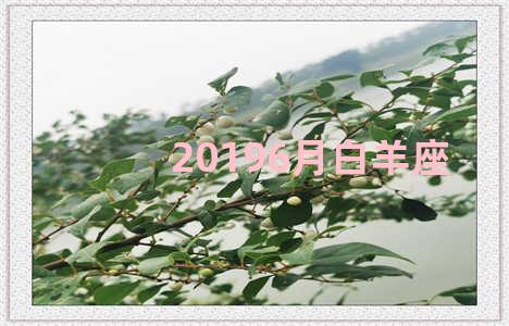 20196月白羊座