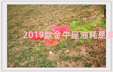 2019款金牛座油耗是多少