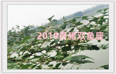 2019肖猪双鱼座