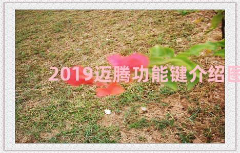 2019迈腾功能键介绍图解