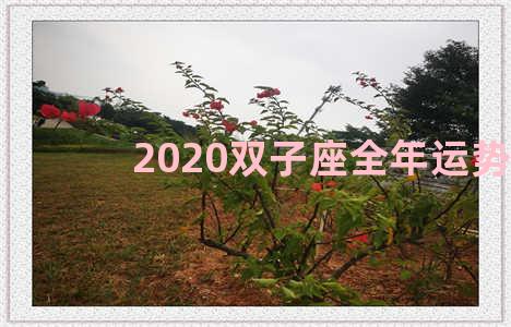 2020双子座全年运势