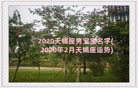 2020天蝎座男宝宝名字(2020年2月天蝎座运势)