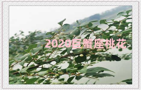 2020巨蟹座桃花