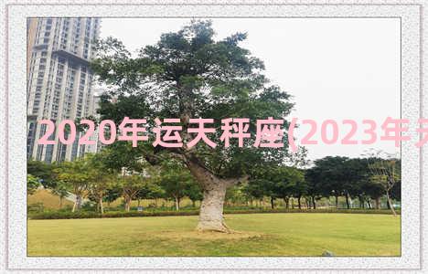 2020年运天秤座(2023年天秤考试运)