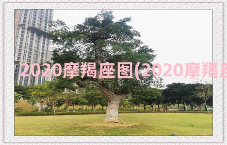 2020摩羯座图(2020摩羯座每月运势)