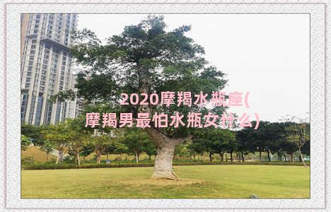 2020摩羯水瓶座(摩羯男最怕水瓶女什么)