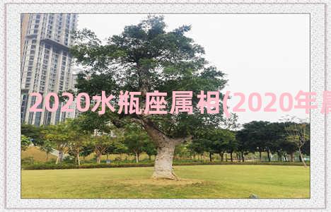 2020水瓶座属相(2020年属猴水瓶座)