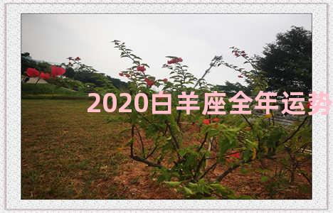 2020白羊座全年运势