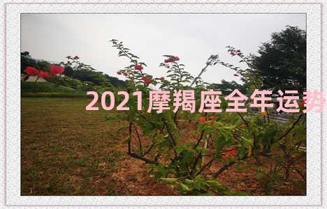 2021摩羯座全年运势