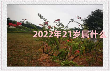 2022年21岁属什么