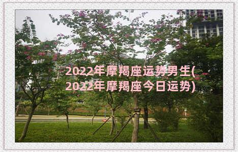 2022年摩羯座运势男生(2022年摩羯座今日运势)