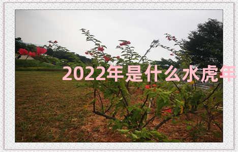 2022年是什么水虎年