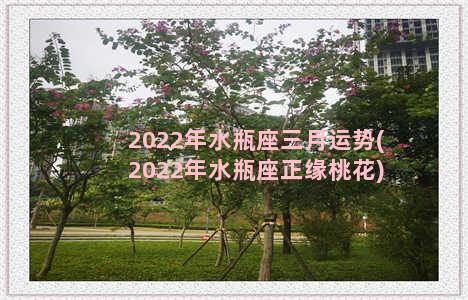 2022年水瓶座三月运势(2022年水瓶座正缘桃花)