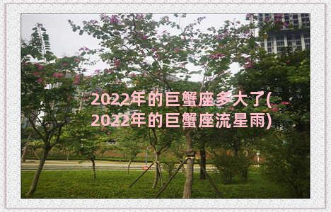 2022年的巨蟹座多大了(2022年的巨蟹座流星雨)