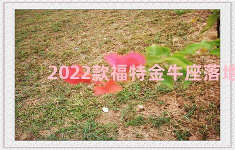 2022款福特金牛座落地价