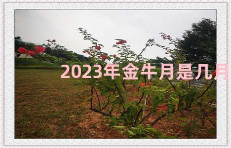 2023年金牛月是几月