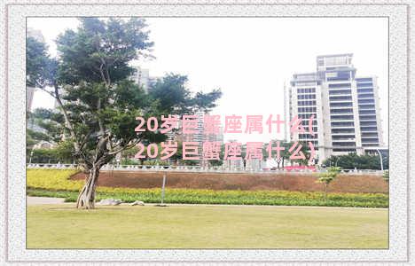 20岁巨蟹座属什么(20岁巨蟹座属什么)