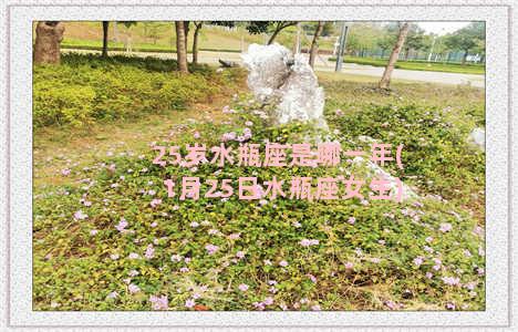 25岁水瓶座是哪一年(1月25日水瓶座女生)