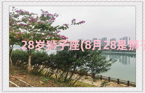 28岁狮子座(8月28是狮子座吗)