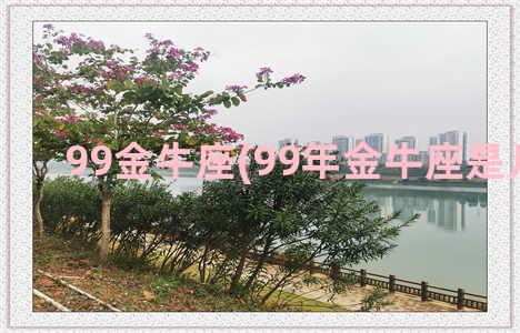 99金牛座(99年金牛座是几月份)