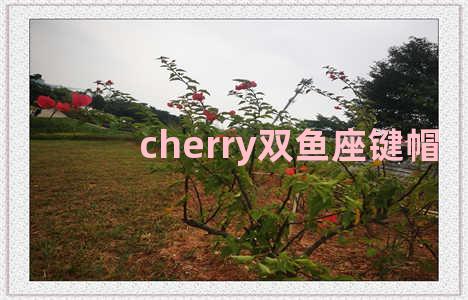 cherry双鱼座键帽