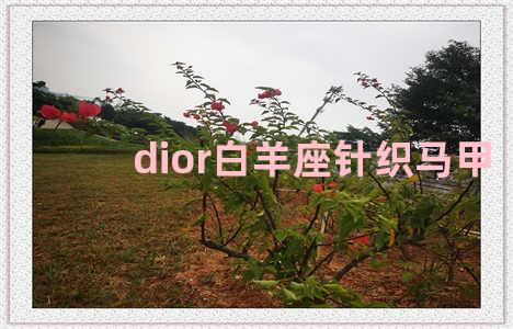 dior白羊座针织马甲